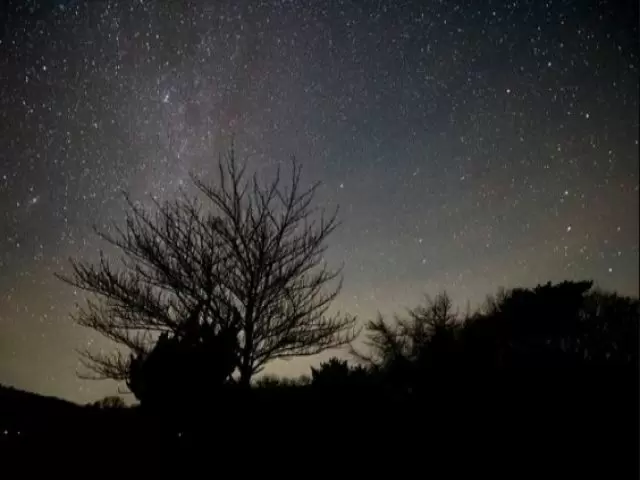 大自然なので星空も綺麗です。