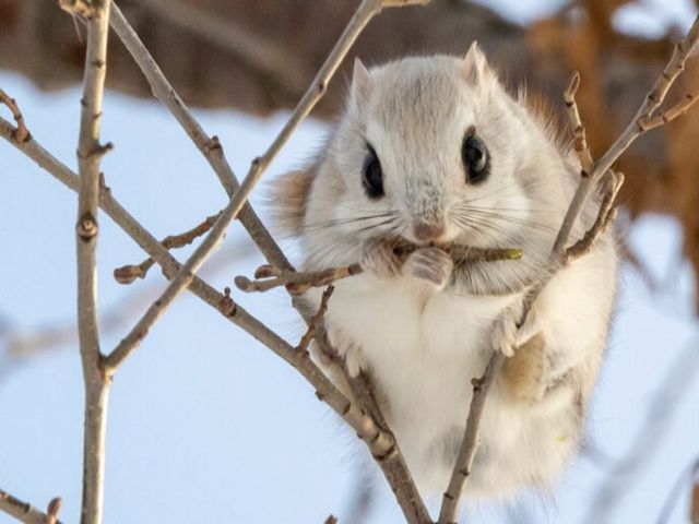 ご応募お待ちしています
