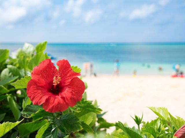 人生一度は行きたい沖縄★リゾバなら休日を使って、観光もめいいっぱい楽しめます！