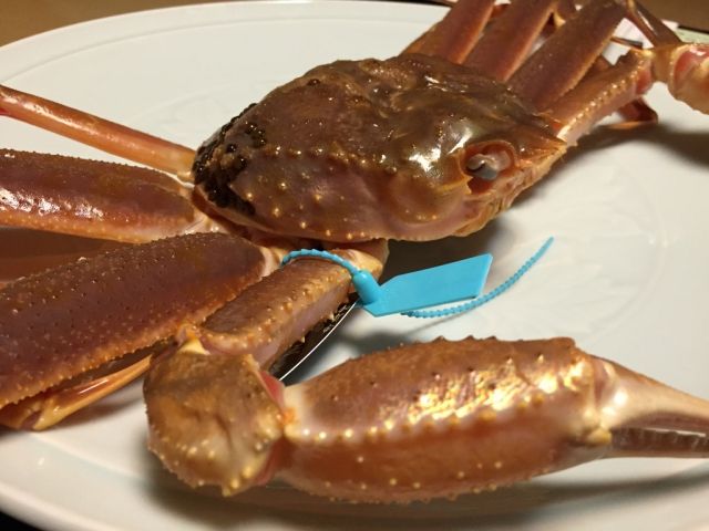 北陸はこれから蟹のシーズン到来です！たくさんのお客様がいらっしゃいます！