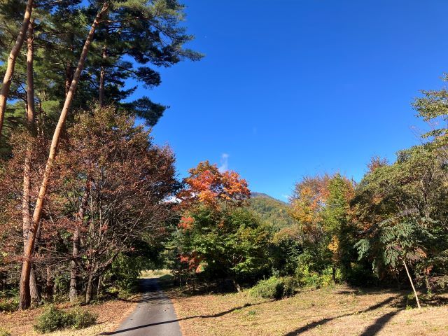自然に囲まれた環境で短期年末年始バイト☆通しのシフトで高時給!!