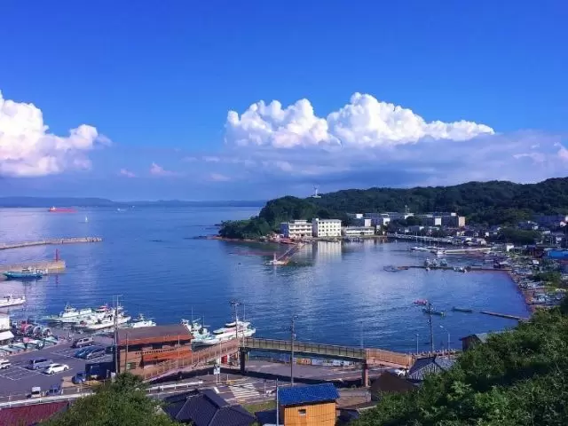 最高の眺望です