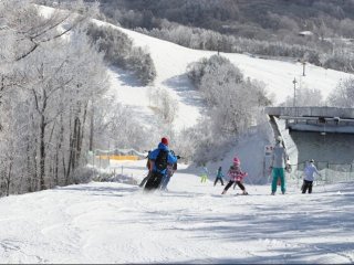【リフト券無料/レンタル無料/中抜け時間滑ってOK】仕事と遊びを両立したい方向け♪