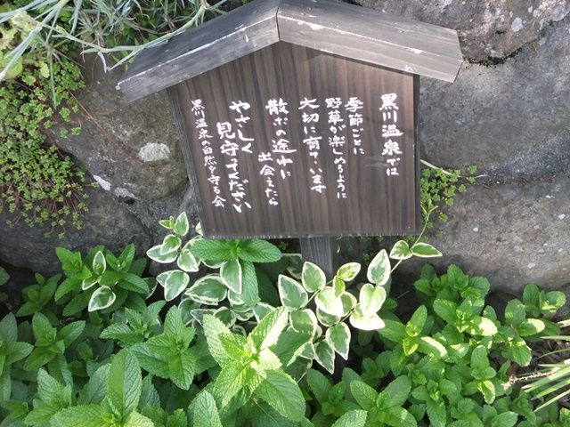かわいい看板。ほっと癒されます。