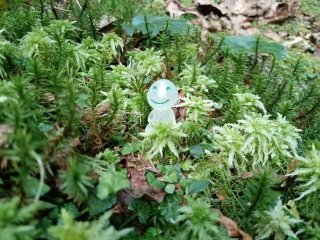 【屋久島】自然に囲まれてのお仕事です！ヒューマニックスタッフも多数在籍しています！