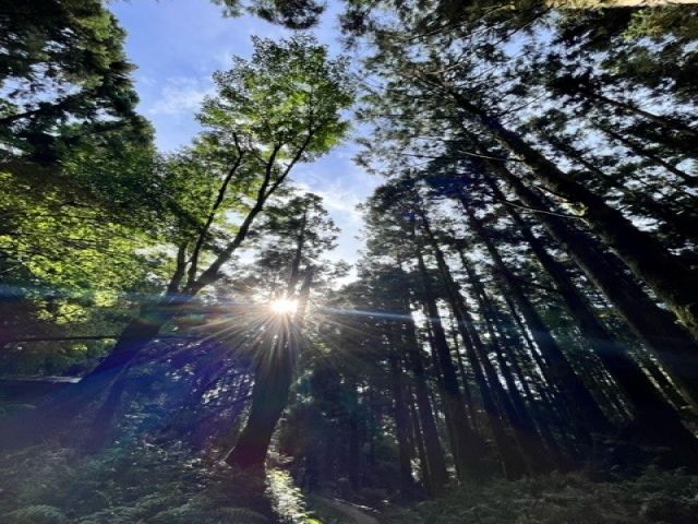 トレッキング中、空を見上げてみてください！