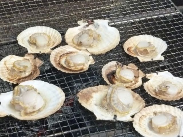 おいしい海の幸もいっぱい♪