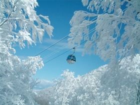 休みの日はスキーやスノーボードも楽しめます♪