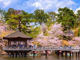 奈良駅より徒歩スグ！外国からのお客様もたくさん！接客、英語を学びたい方必見のホテルです♪