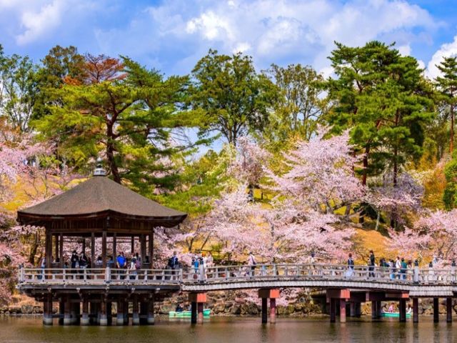 水面に写る姿が美しい浮見堂!!水辺の憩いの場としても知られています。