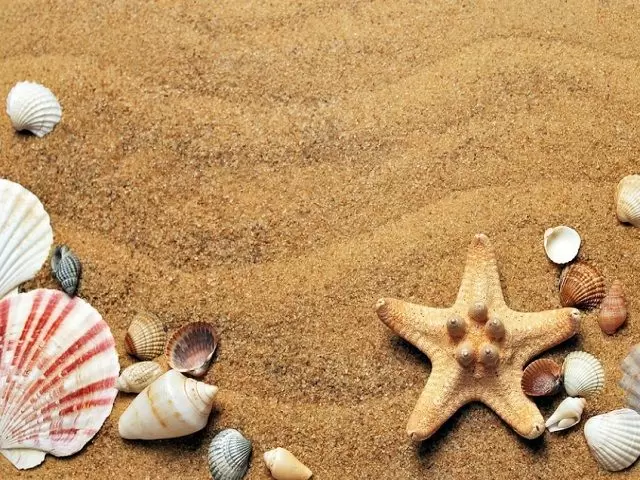 休日はおいしい海鮮を食べて熱海を満喫しましょう～☆近くにはビーチもあります♪