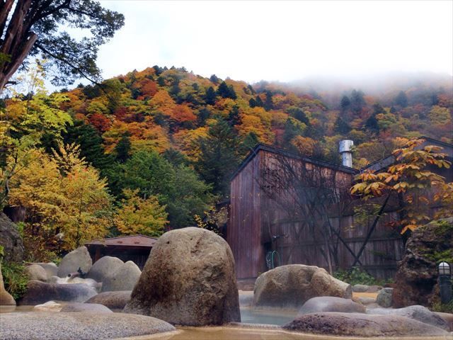 奥飛騨は何と言っても温泉♪♪紅葉も見ごろで四季を感じて生活出来ます☆