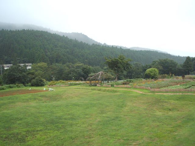 周りは綺麗な緑で囲まれています☆