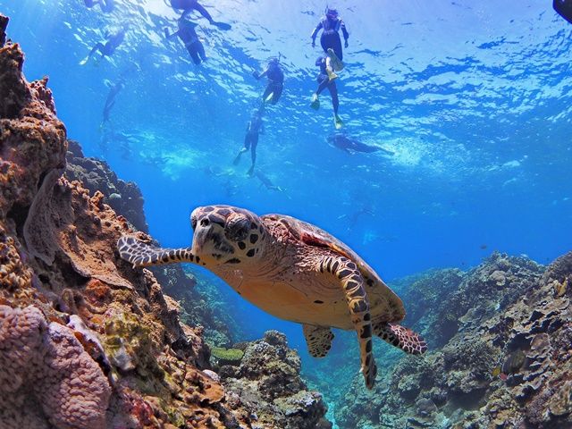 沖縄は一番冷える時期でも最低気温15度と、暖かく過ごしやすい！ダイビングも全然できますよ★