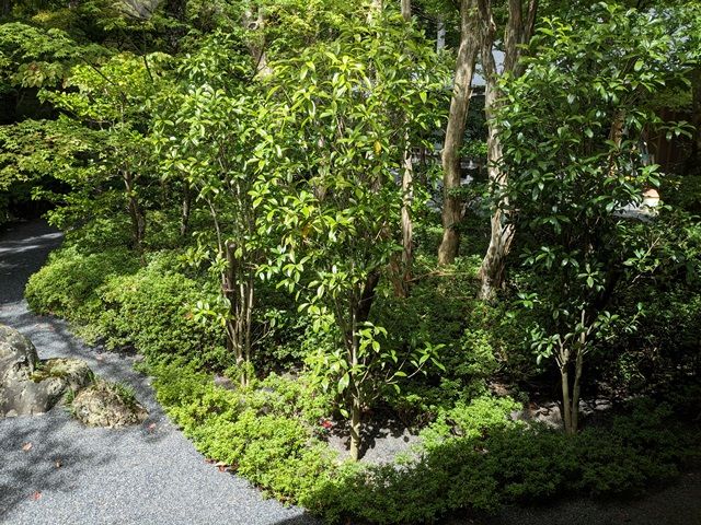 荘厳な庭を眺めながらお仕事もいいですね♪