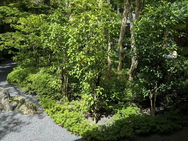 荘厳な庭を眺めながらお仕事もいいですね♪