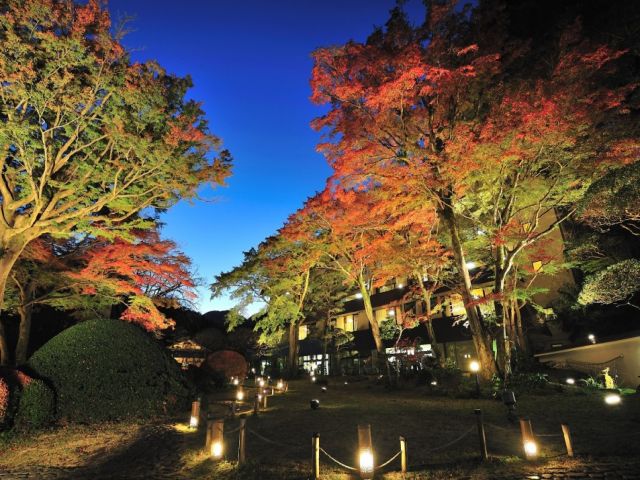 旅館の中庭★四季折々の景色の移ろいは圧巻の一言！