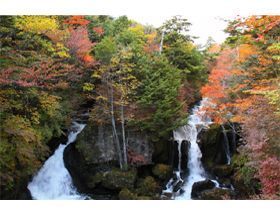 とにかくキレイ☆1度は見ておこう、奥日光の紅葉！