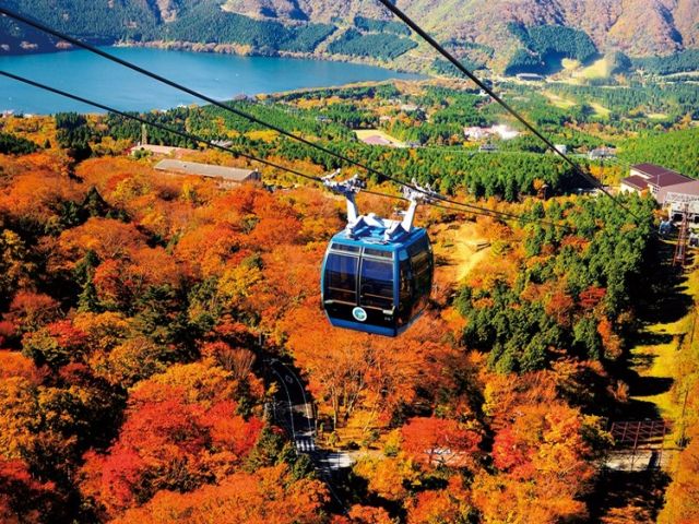 絶景のロープウェイ★