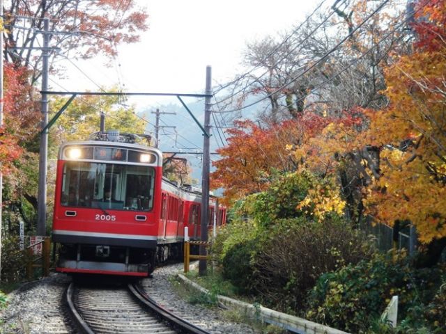 観光地を繋ぐ箱根登山鉄道★