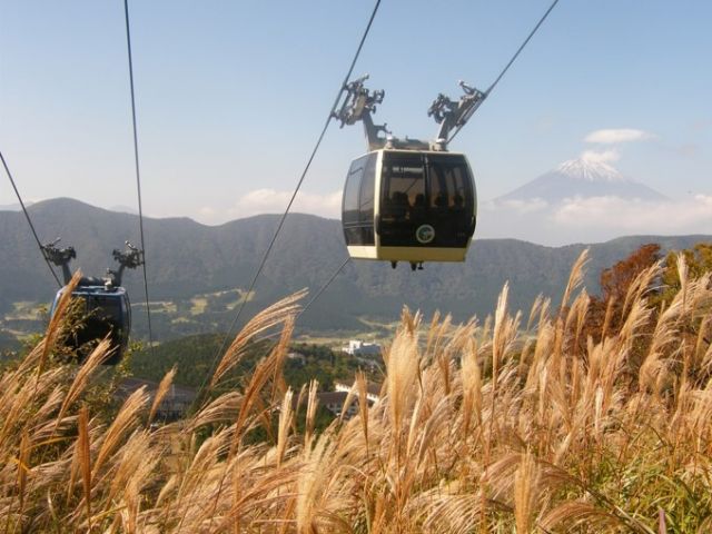 箱根は雄大な自然の宝庫★