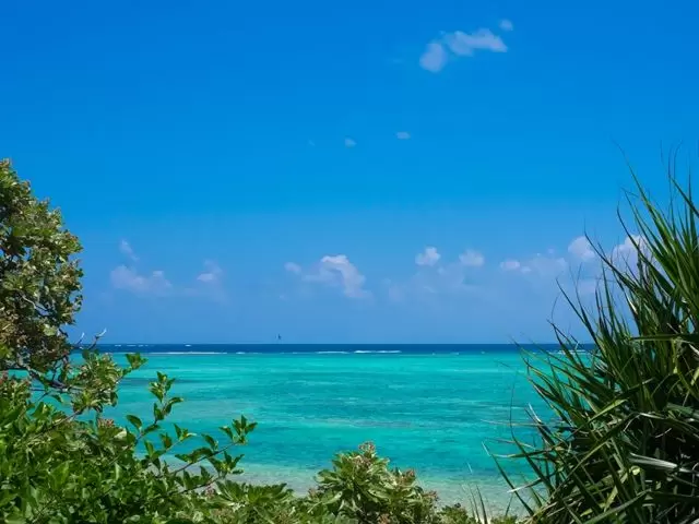 休日はビーチに行こう♪東洋一美しいと言われる海が広がっています！