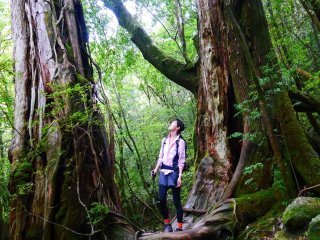 【屋久島】受入れ◎！寮は徒歩５分圏内で通勤ラクラクです！！