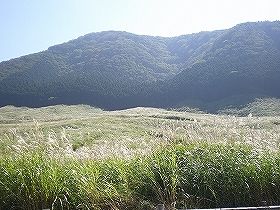 自然豊かな場所で空気もキレイ
日頃のストレスが無くなります