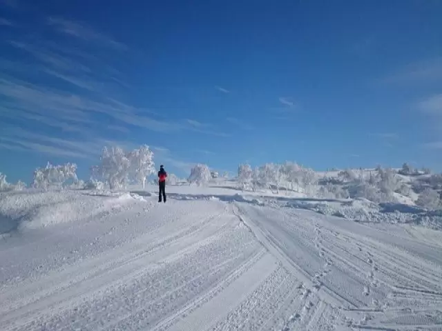 パウダースノー楽しめます♪