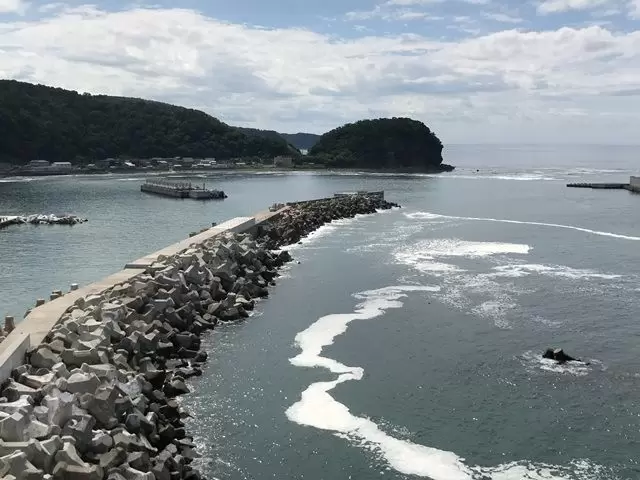 世界自然遺産に触れ合える