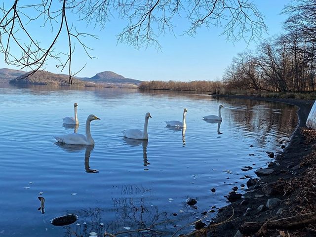 長期間就業できる方歓迎！