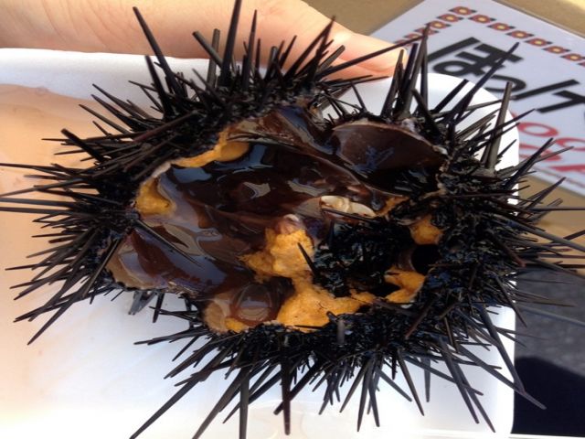 礼文島に行ったらシーズン中の絶品うには必食！！
