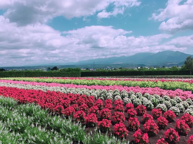 人気の富良野でリゾバ！