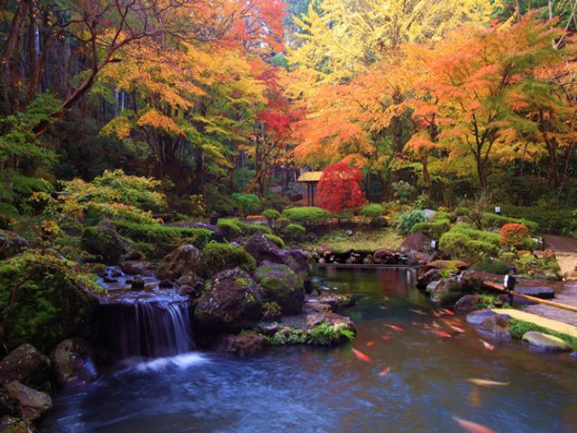 このホテルはドラマのロケ地です☆