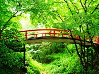 ≪新着！≫人気エリア伊香保温泉での、仲居のお仕事です！
