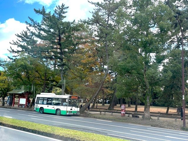 奈良公園も徒歩圏内☆本当にシカが！その辺に！いるんです！