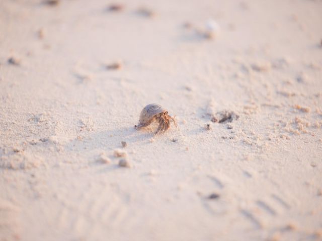 スパ受付のお仕事です！リゾバ仲間もたくさんいます♪