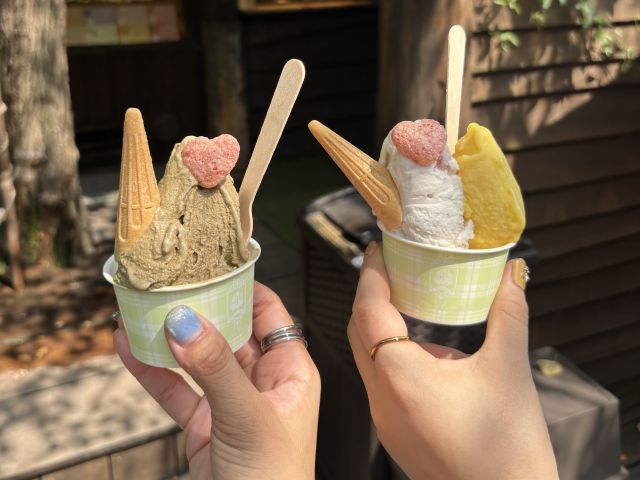 周辺にもたくさん観光スポットがあります！