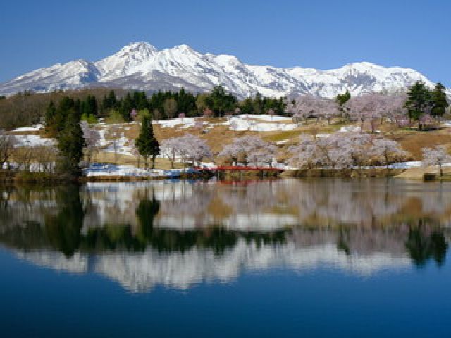 妙高山の雄大な景色が楽しめます！