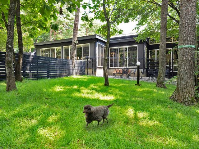 ワンちゃんと遊べる旅館です