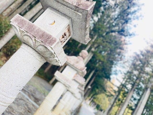 世界遺産/高野山でのお仕事です。未経験の方も募集しています☆
