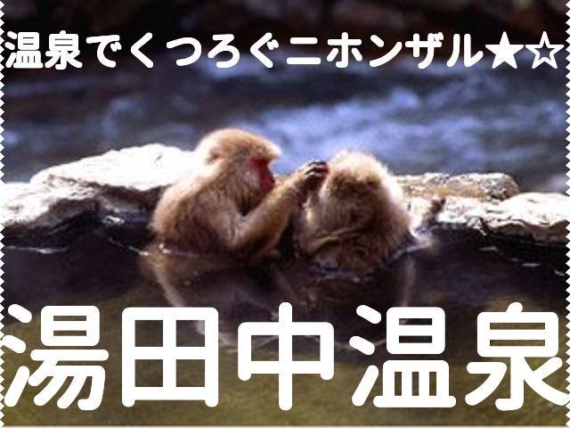 地獄谷野猿公苑まで徒歩30分♪お猿が温泉に入ることで有名です♪湯田中おススメ観光スポット★