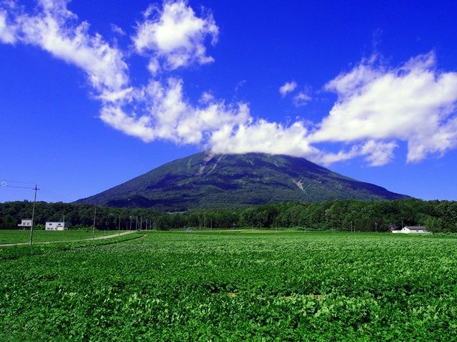 目の前には蝦夷富士 羊蹄山が広がります
