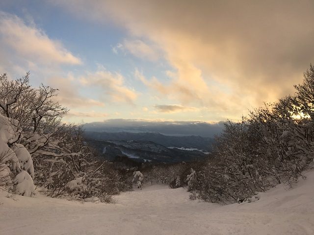 室内から見える景色もステキ♪