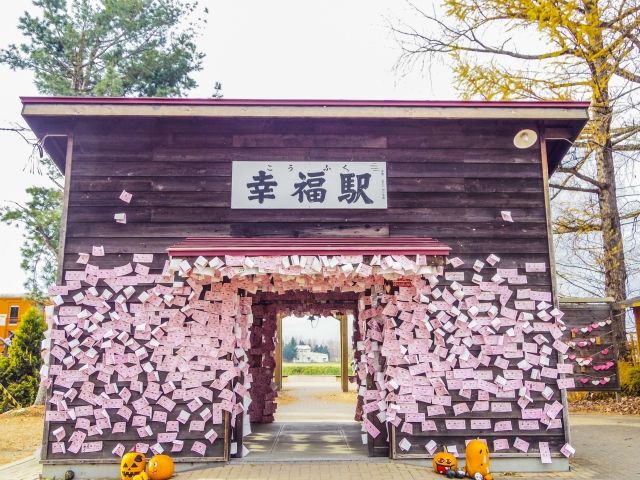 観光スポットも沢山ありますよ！