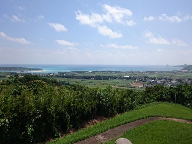 自然も豊かな島です！