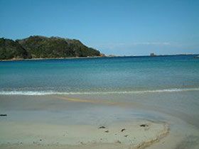 透明度の高い海が目の前～♪海水浴もサーフィンも最高です！！