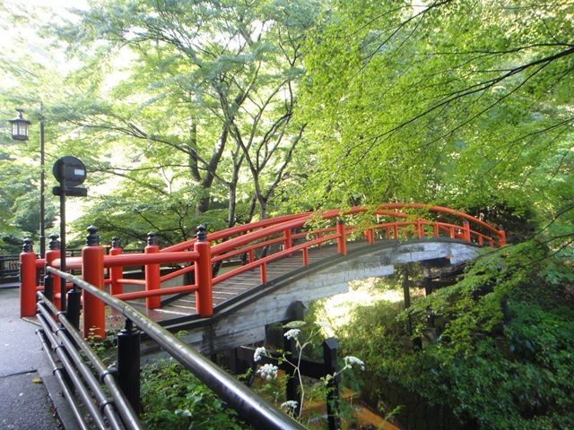 自然豊かな伊香保でのお仕事。