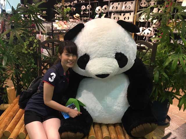 パンダ！！！！今や和歌山の代名詞と言っても過言ではないくらいの人気のパンダ☆
