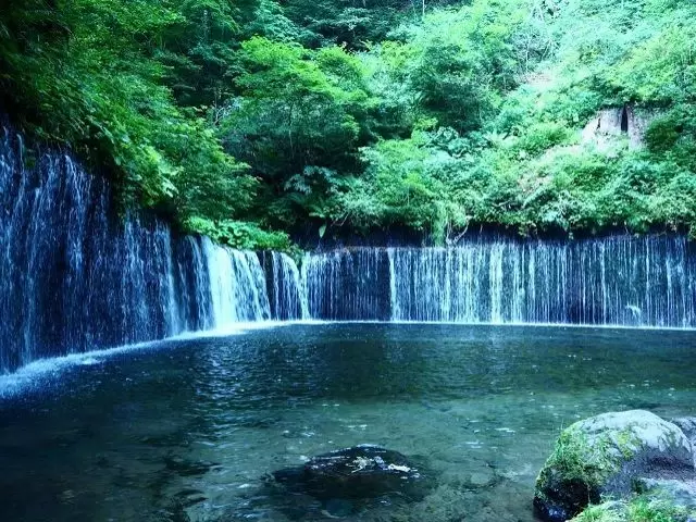 少し足を延ばせば緑も広がっています♪